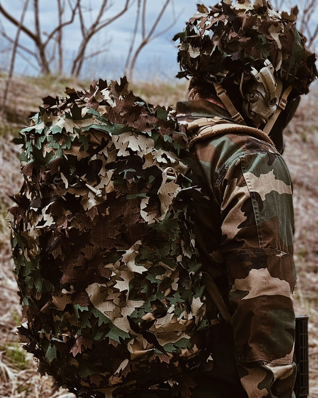 Camouflage in Nature: Inspirations for the Military