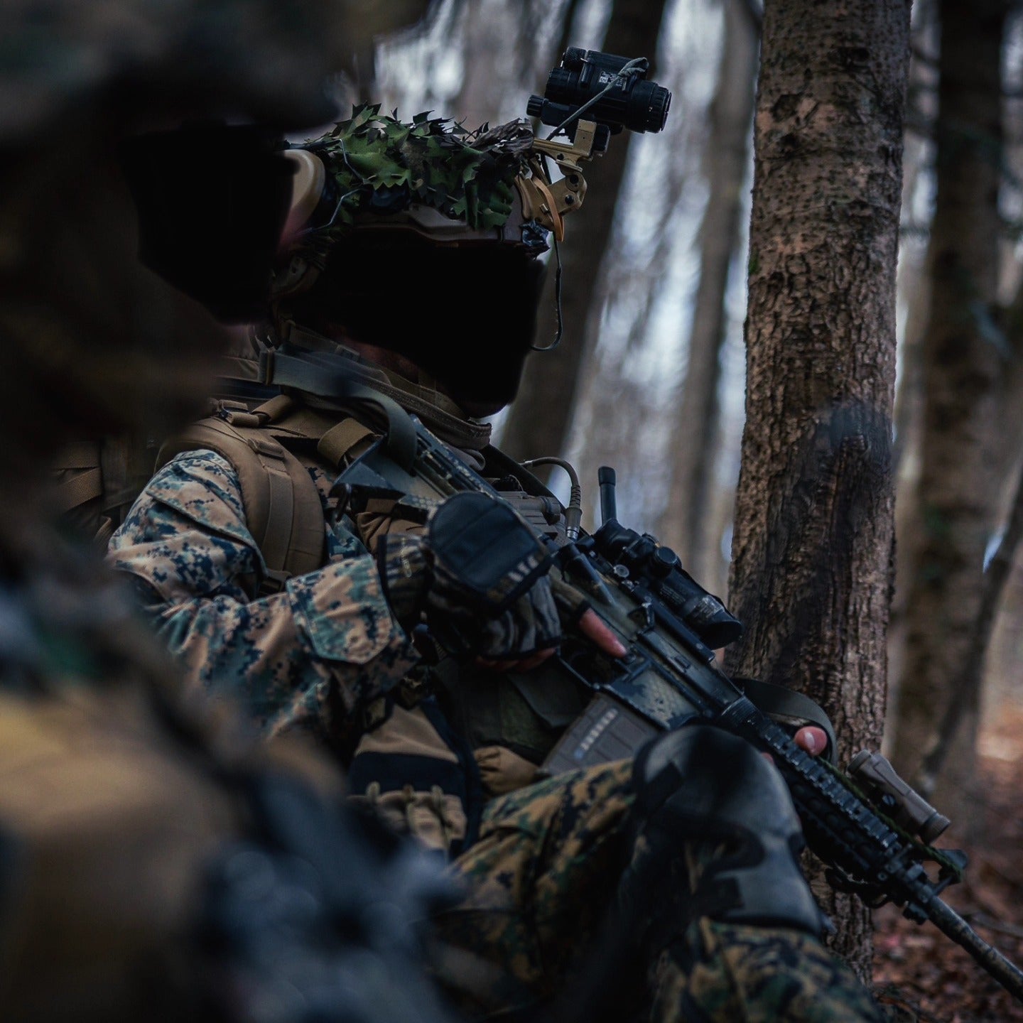 Military Camouflage: A Tactical Evolution