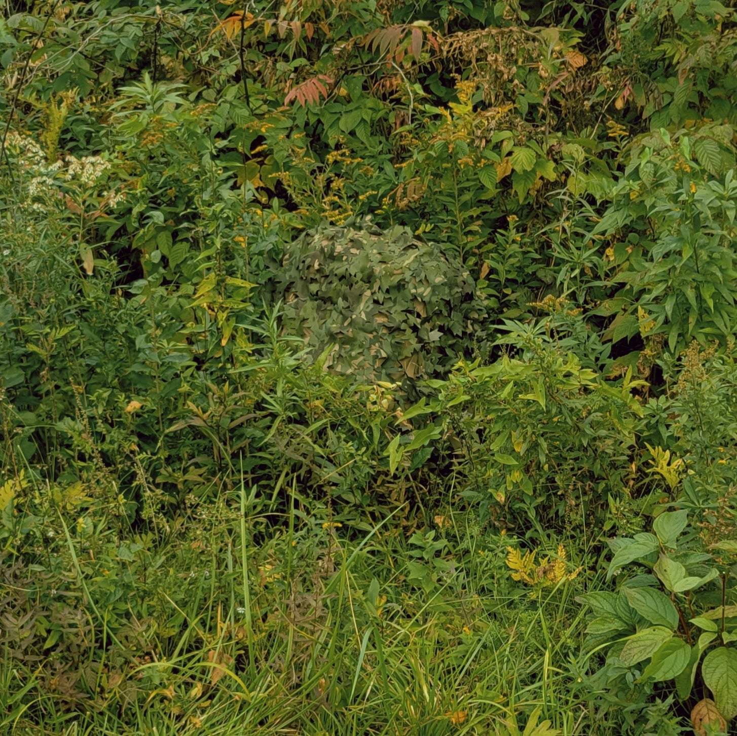 Ruck Scrim (75-120L) Nutsof Scrim Camouflage Cover