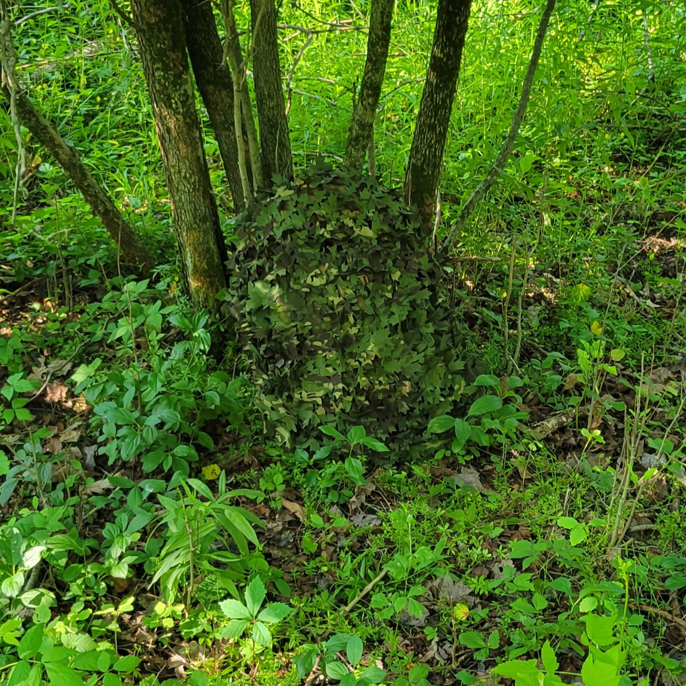 The Northerner Pack Scrim Nutsof Camouflage